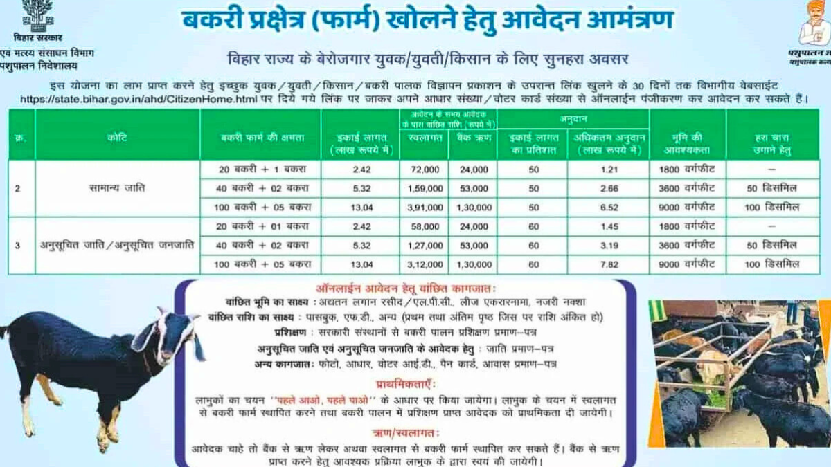 Bakri Palan Bihar में गांव के किसान द्वारा बकरियों का पालन, ग्रामीण क्षेत्र में बकरी पालन का दृश्य